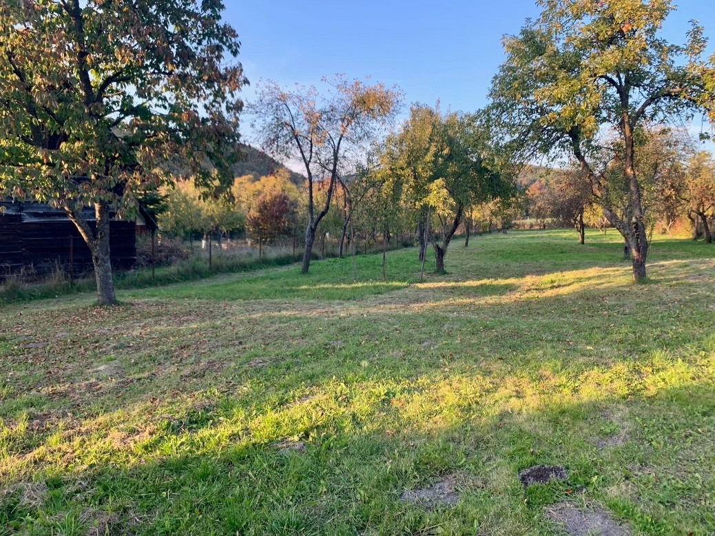 Krásny a veľkorysý stavebný pozemok v obci OPINÁ, 3134 m2 - 5