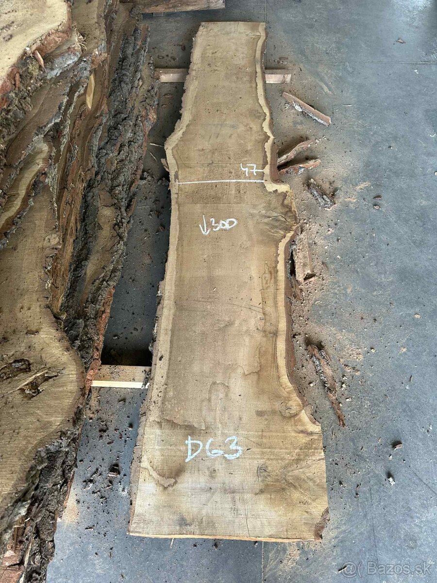 dubové fošne, dub letný, dub - 5