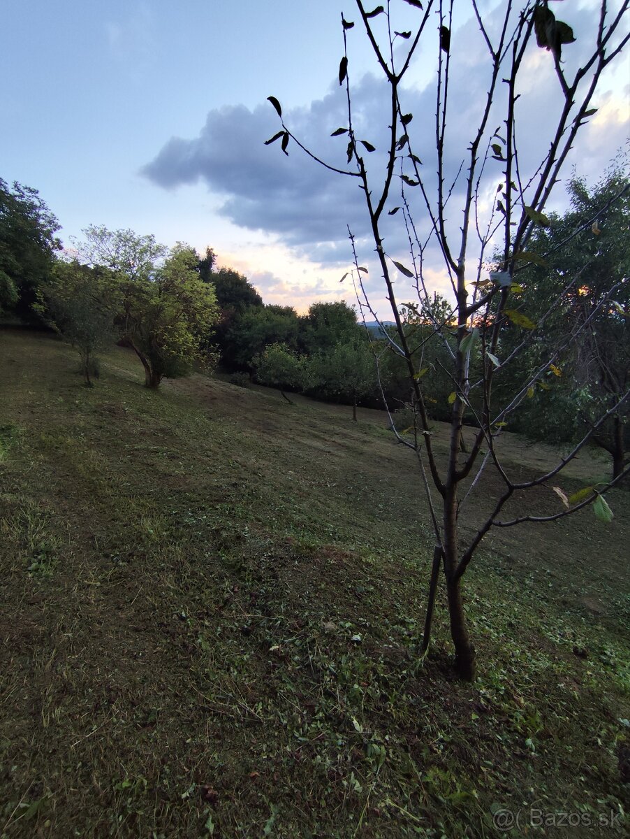 Čistenie a mulčovanie pozemkov, odstraňovanie náletov - 5