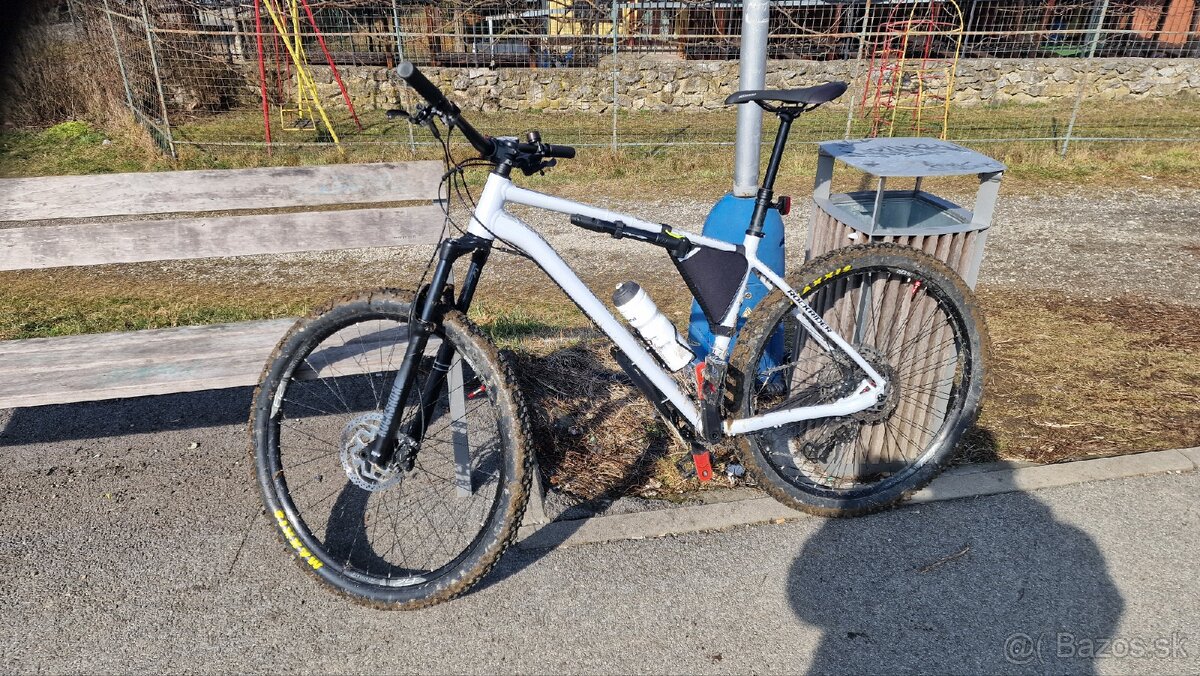 Predam Rockrider AM 100 XL - 5