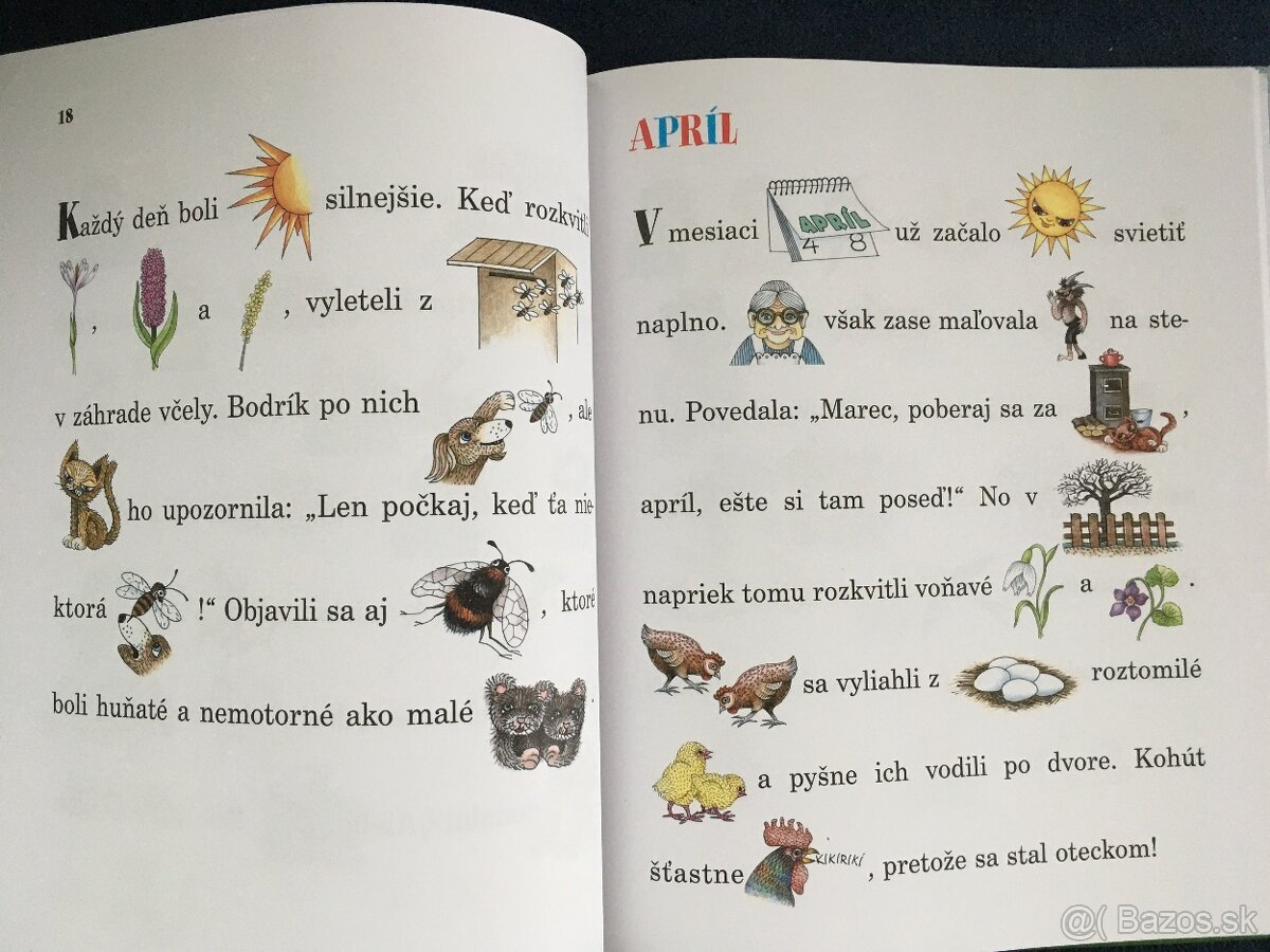 kniha Rok so psíčkom a mačičkou - 5