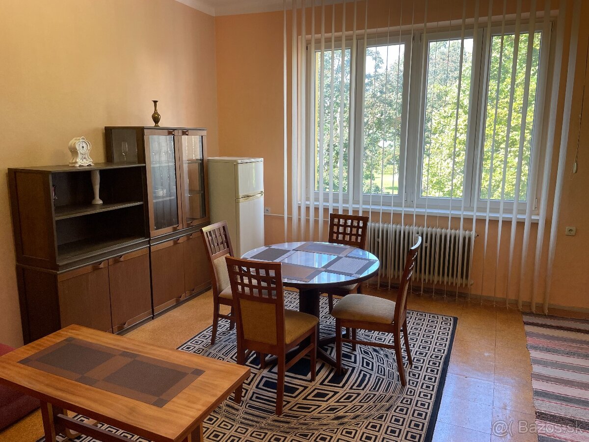 Prenajom velkeho 2 izboveho bytu Zilina centrum - 5