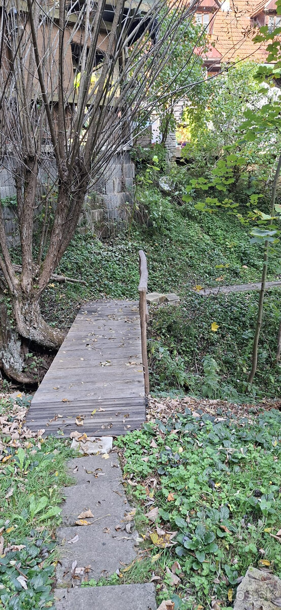 Fotografia 5