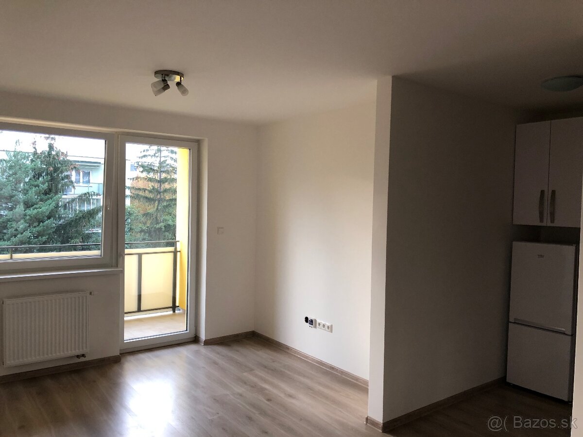 Prenájom 1 izbovy byt - 5