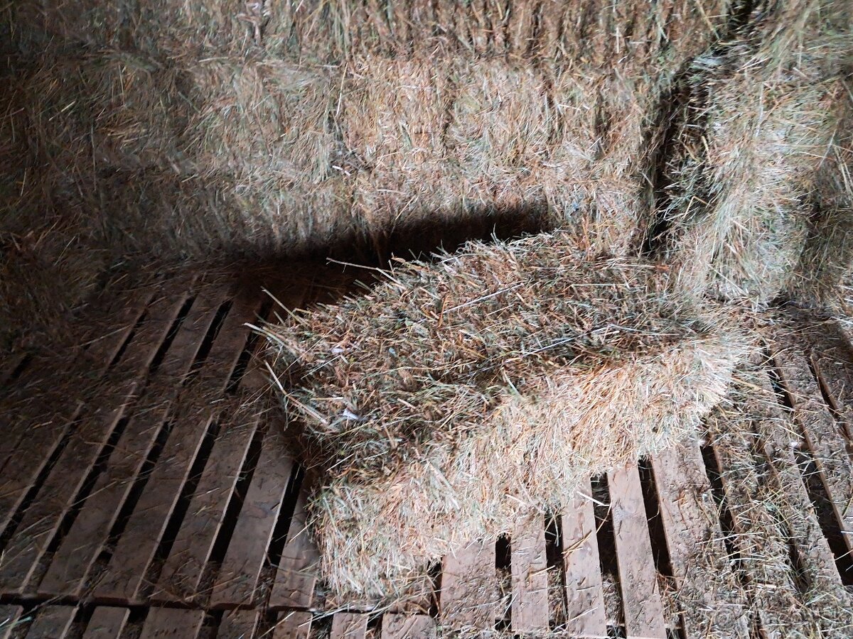 Predám seno - 5