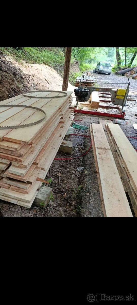 Kmeňová pásová píla - 5