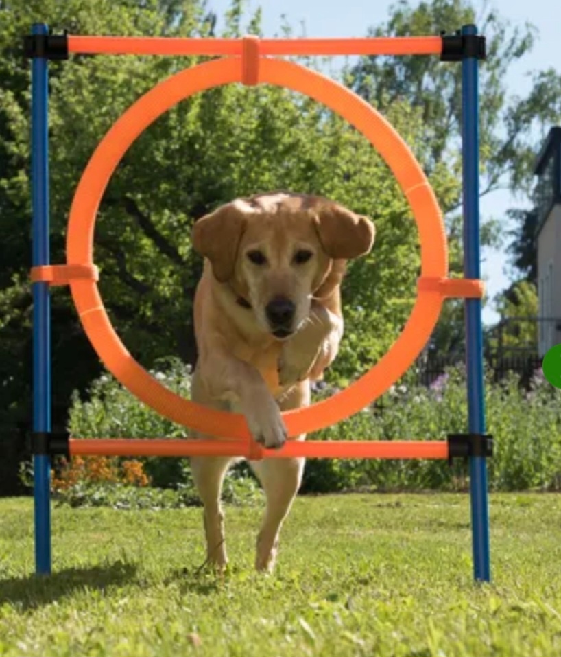 Agility prekážky - 5