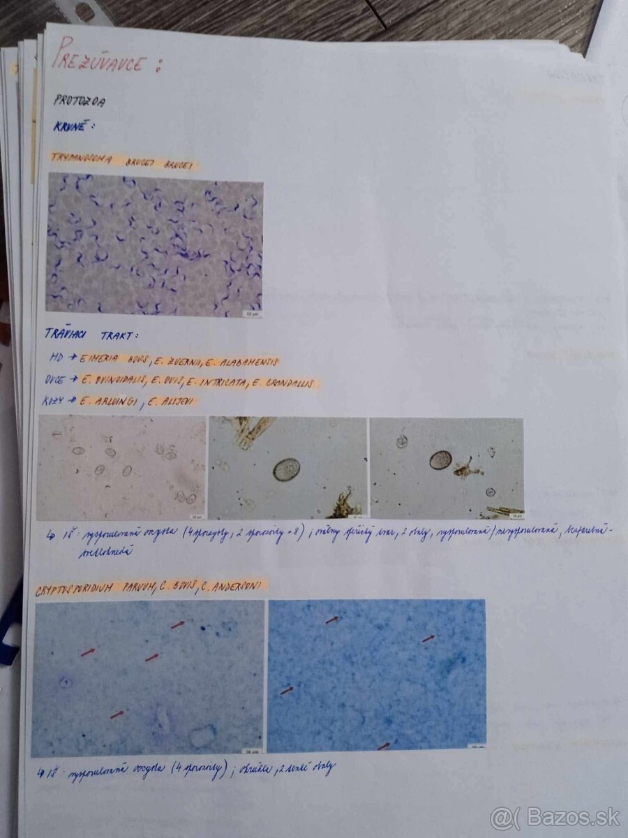 UVLF KE : Materiály pre VVL/HP - 4.ročník - 5