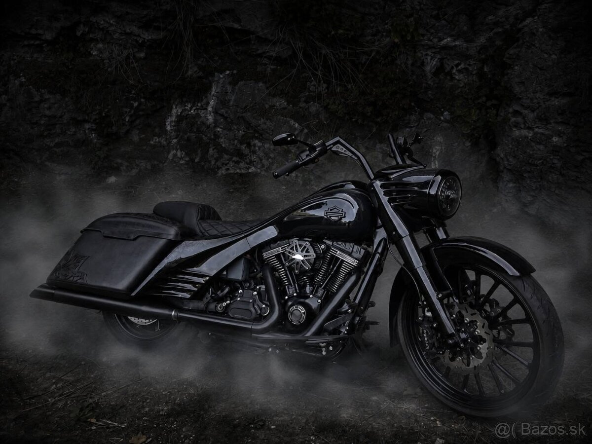 HARLEY DAVIDSON TC 113 SE RACING BAGGER - 5
