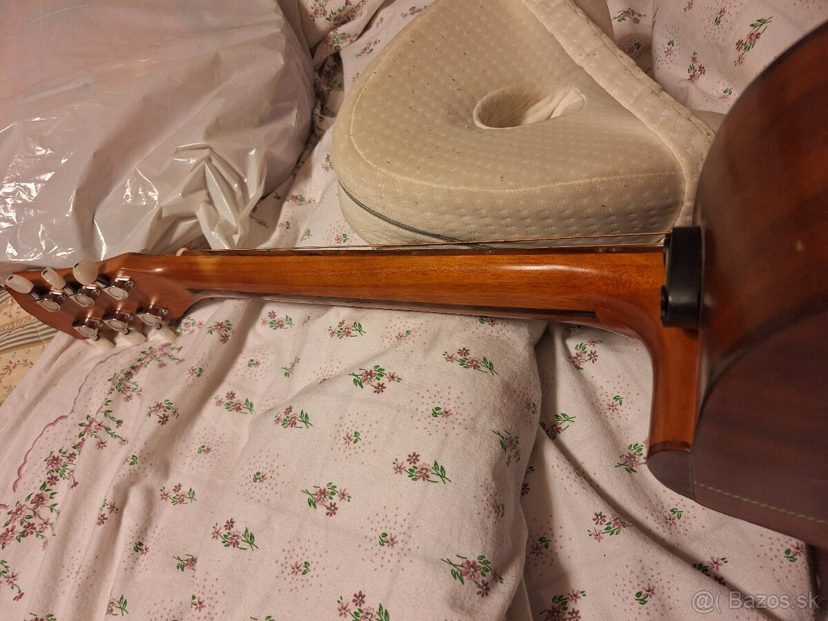 gitara Dowina - 5
