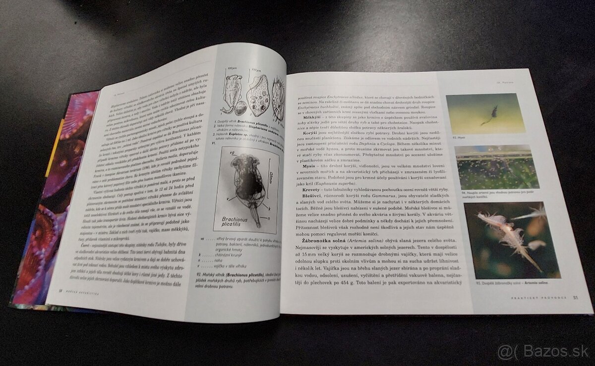 Kniha Morská akvaristika - sprievodca - 5