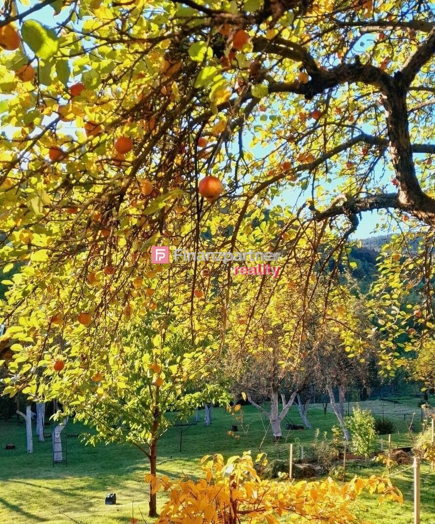 3 pozemky, 3 chatky, na výstavbu domu, Bartošova Lehôtka - 5