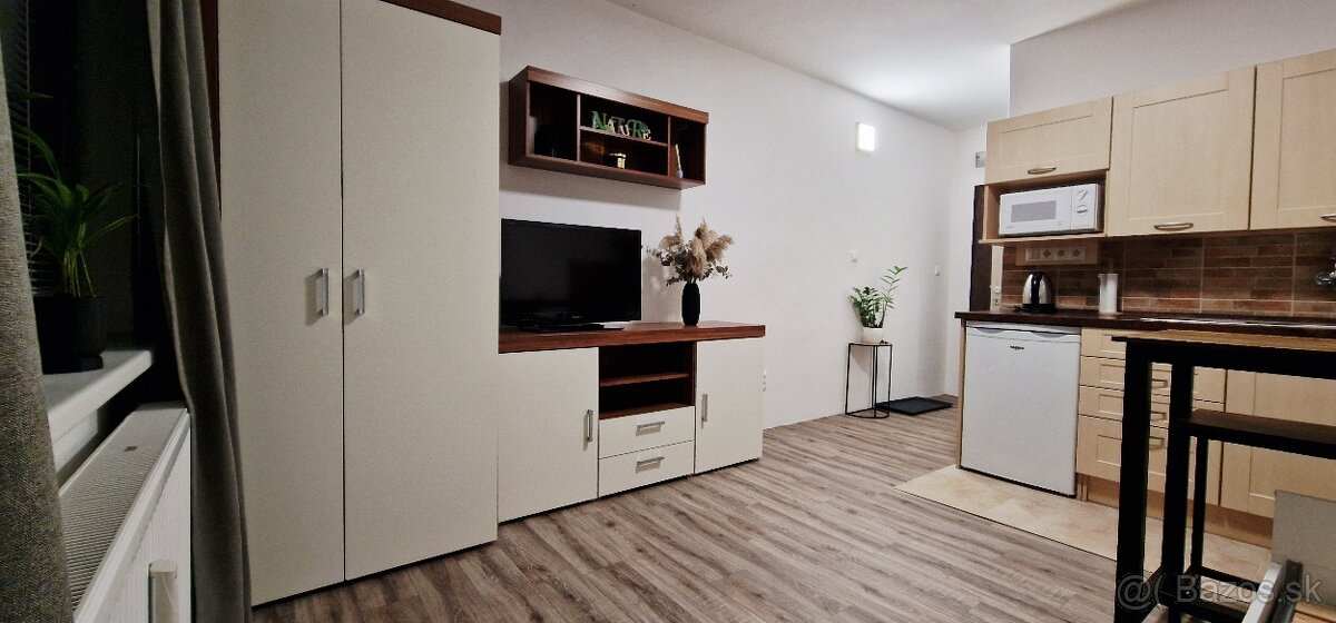 Garsónka na prenájom - 5