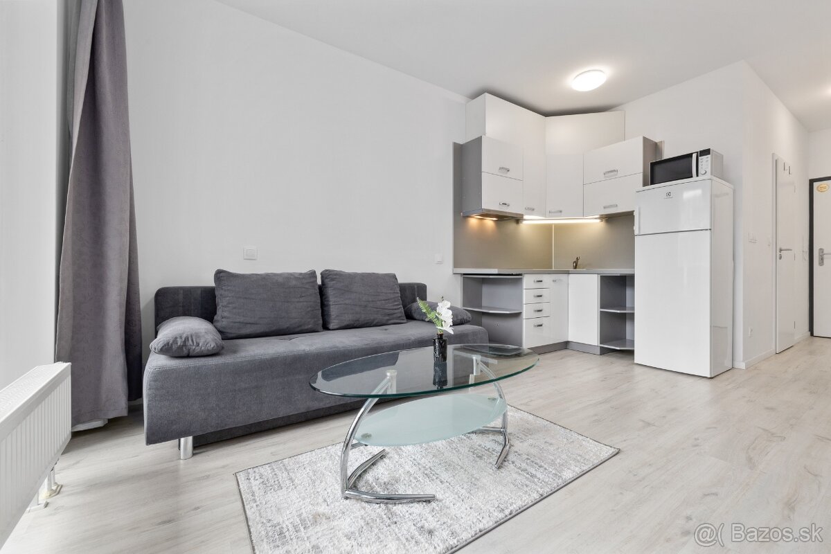 Na prenájom 1-izbový byt v Slnečniciach – Bratislav - 5