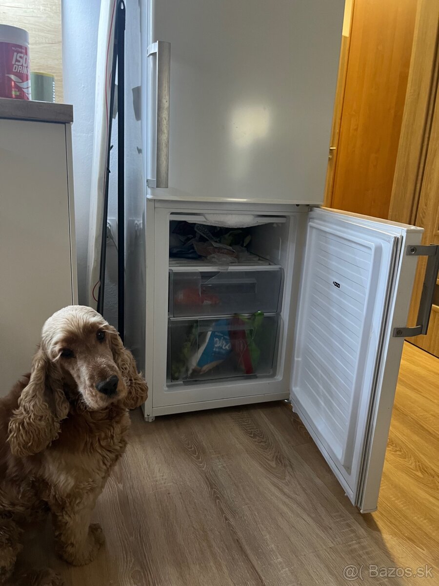 Plne funkčná chladnicka s mraznickou - 5