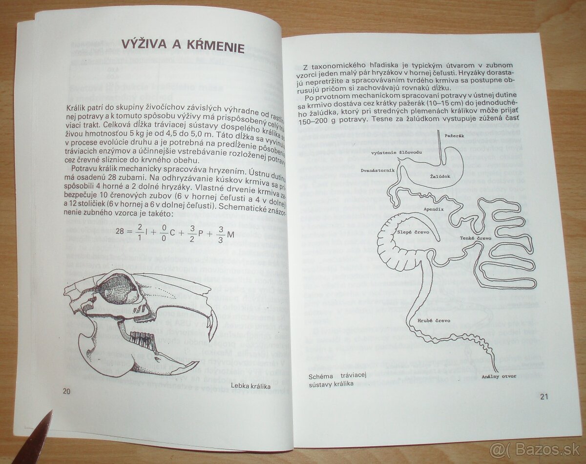 Intenzívny chov brojlerových králikov - 5