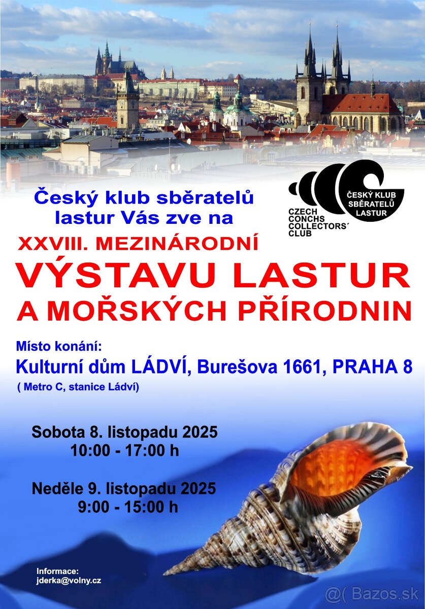 Porcelánovec peňažný 10 kusov - 5