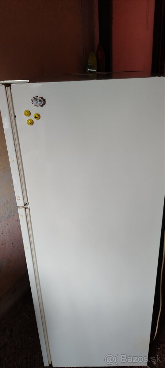 chladnicka s mrazakom - 5