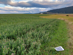 Predám pozemok v Liptovských Sliačoch s povolením na IBV - 5