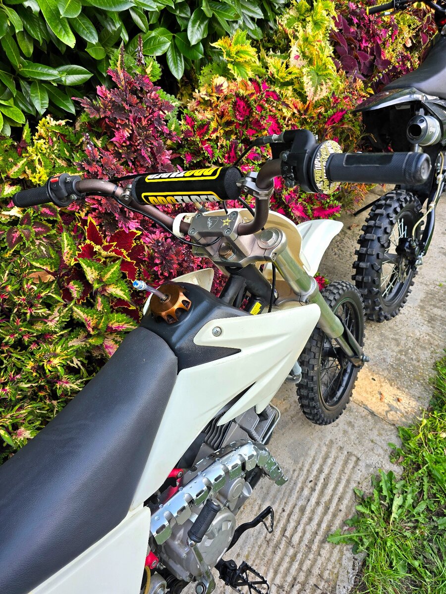 Pitbike Stomp Zongshen 175 - 5