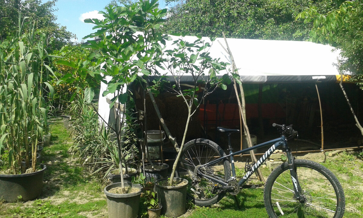 FIGOVNíKY RODIACE - 5