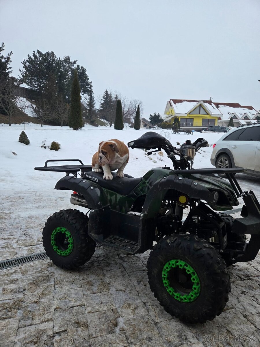 Predám detskú štvorkolku - 5