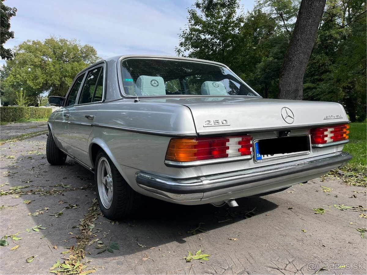 Mercedes Benz W123 - 5