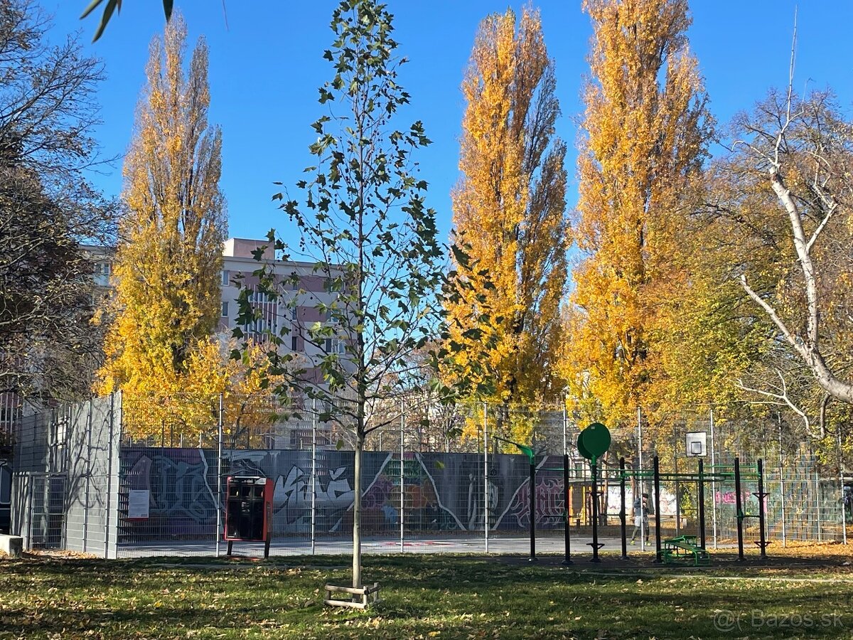 Zariadený 2i byt Zálužická Ružinov - ihneď k dispozícii - 5