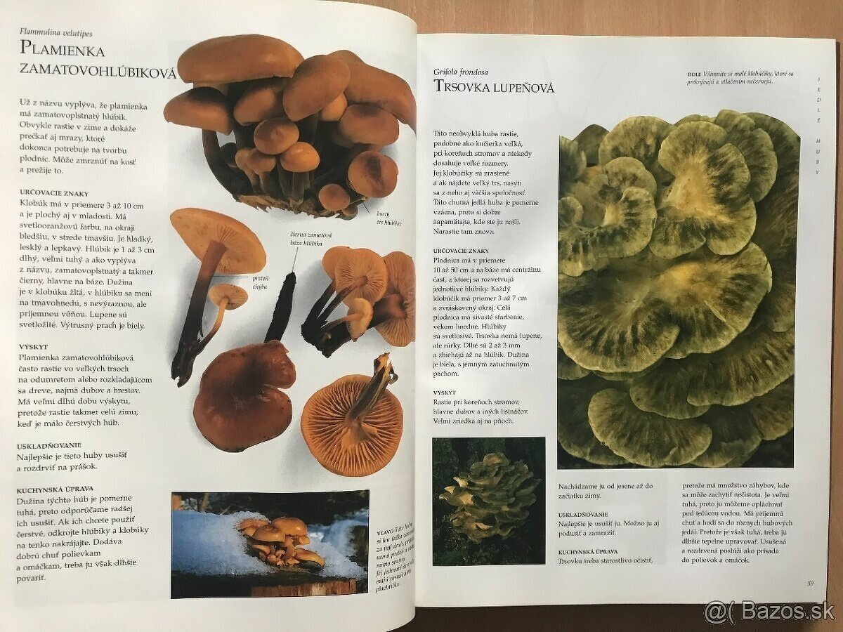 Peter Jordan: Veľká kniha o hubách - 5