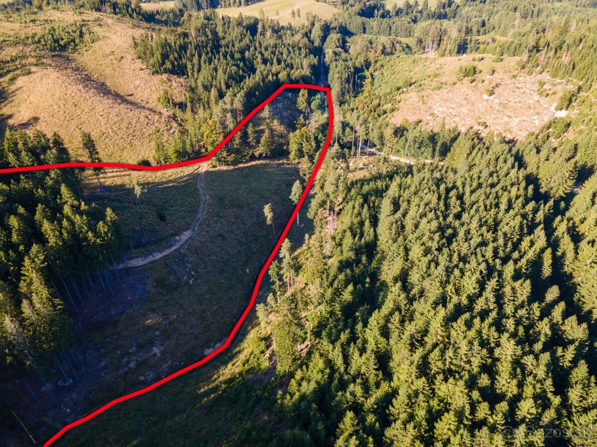 HOSPODÁRSKY LES V OBCI BUDIŠ V OKRESE TURČIANSKE TEPLICE - 5