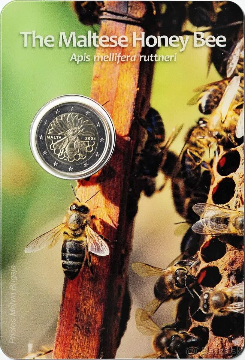 Euro pamatne mince 2024 - postupna aktualizacia - 5