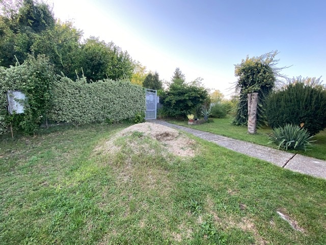 Predaj- 4 izbový dom s krásnou záhradou, Šurany - 5