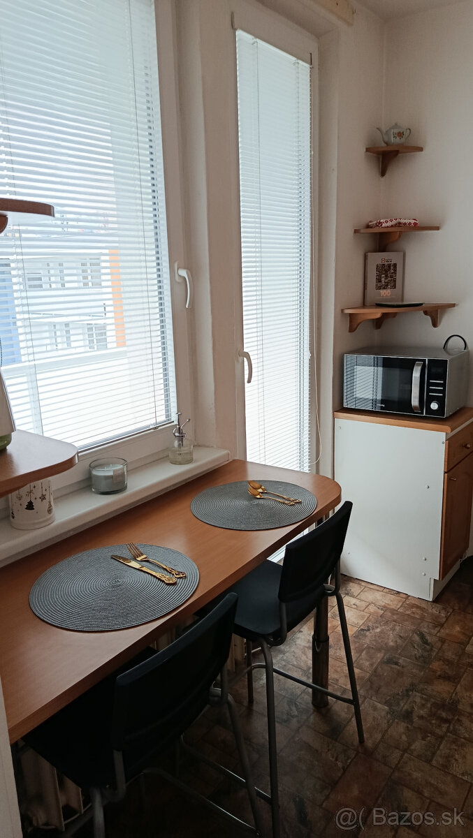 Prenájom 1 izbového bytu - 5