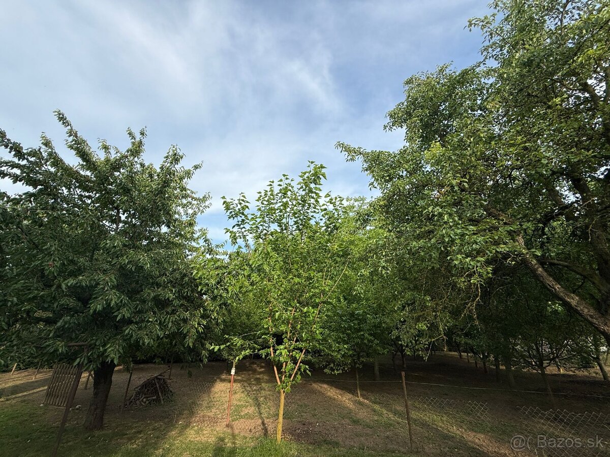 Stavebný pozemok - 5