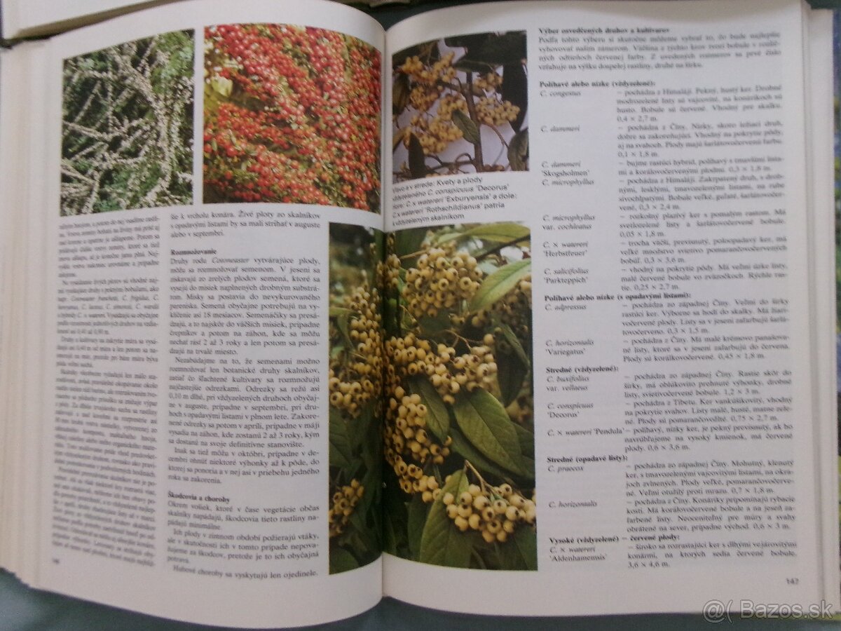 Jar, Leto, Jeseň, Zima v záhrade - komplet. - 5