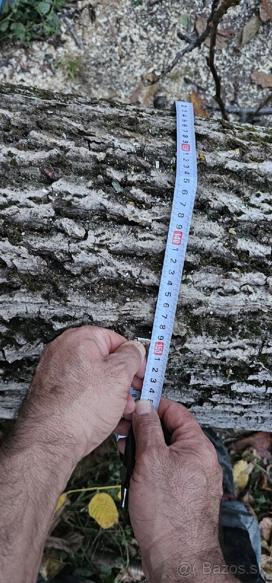 Predam orechove drevo - 5