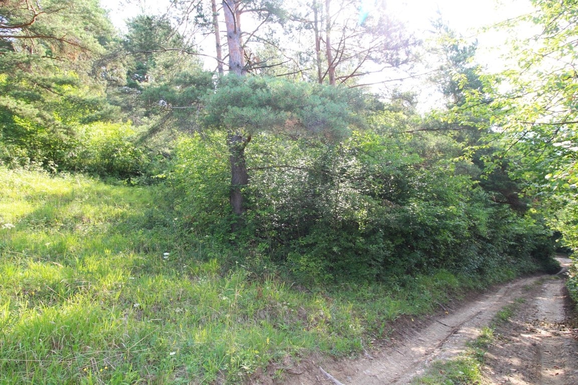 Rekreačný pozemok /1472 m2/, Hlboké nad Váhom - 5