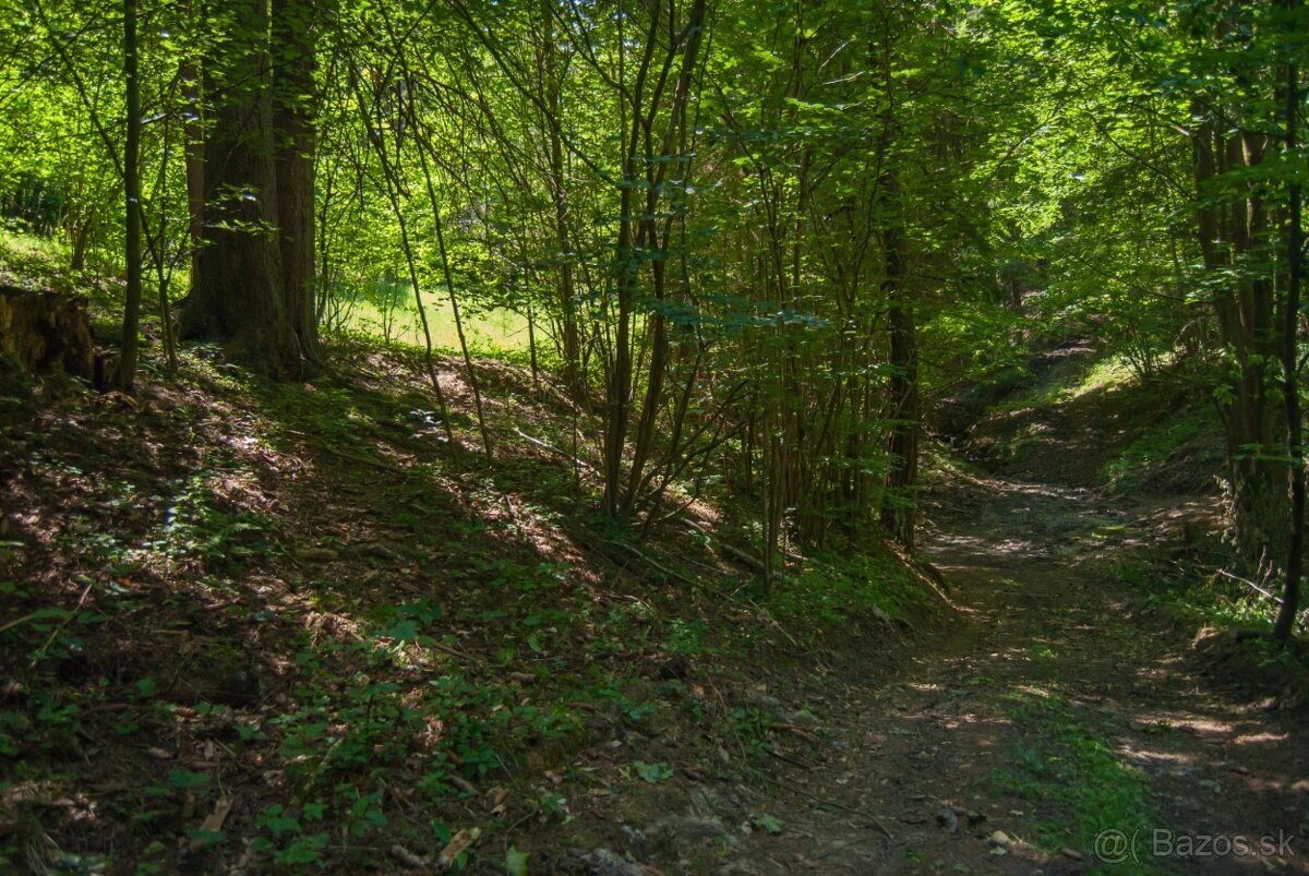 Predaj pozemku pri potoku 1536 m2, Turzovka - Turkov - 5