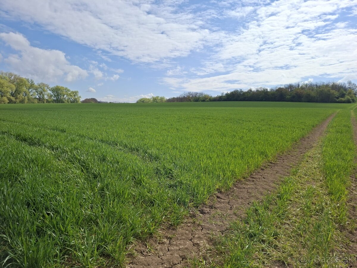 Stavebné pozemky IBV Čermany - 5