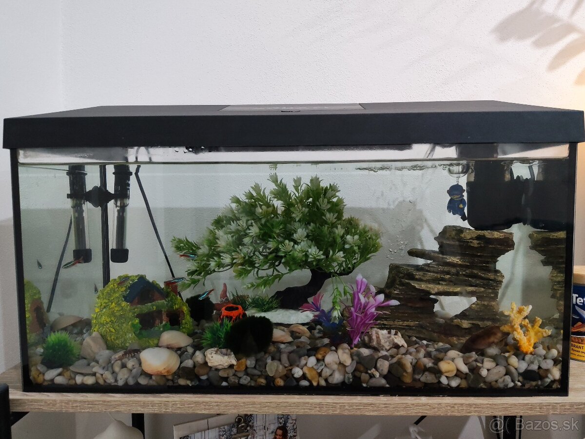 Aquarium aquarel 55l - 5