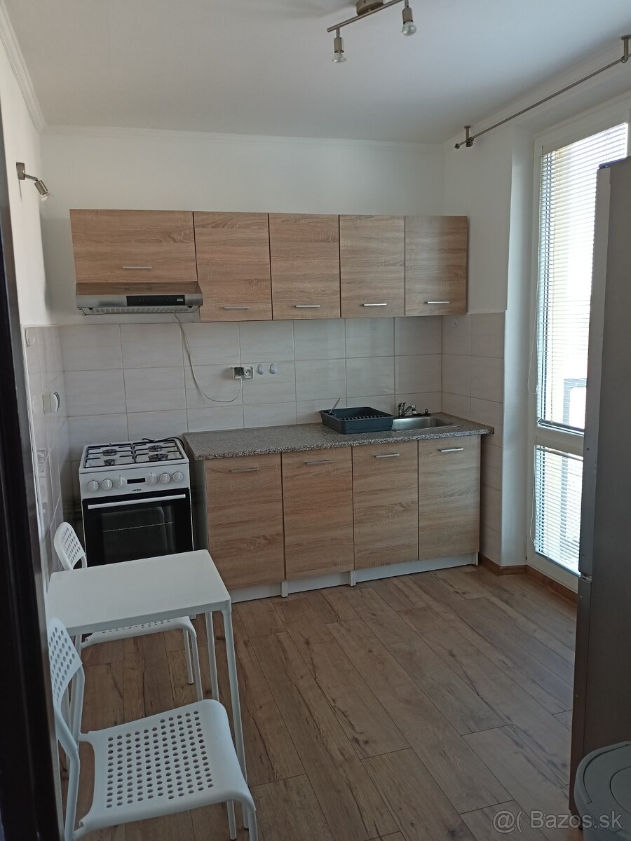 Velky 1i byt 42m2 - 5