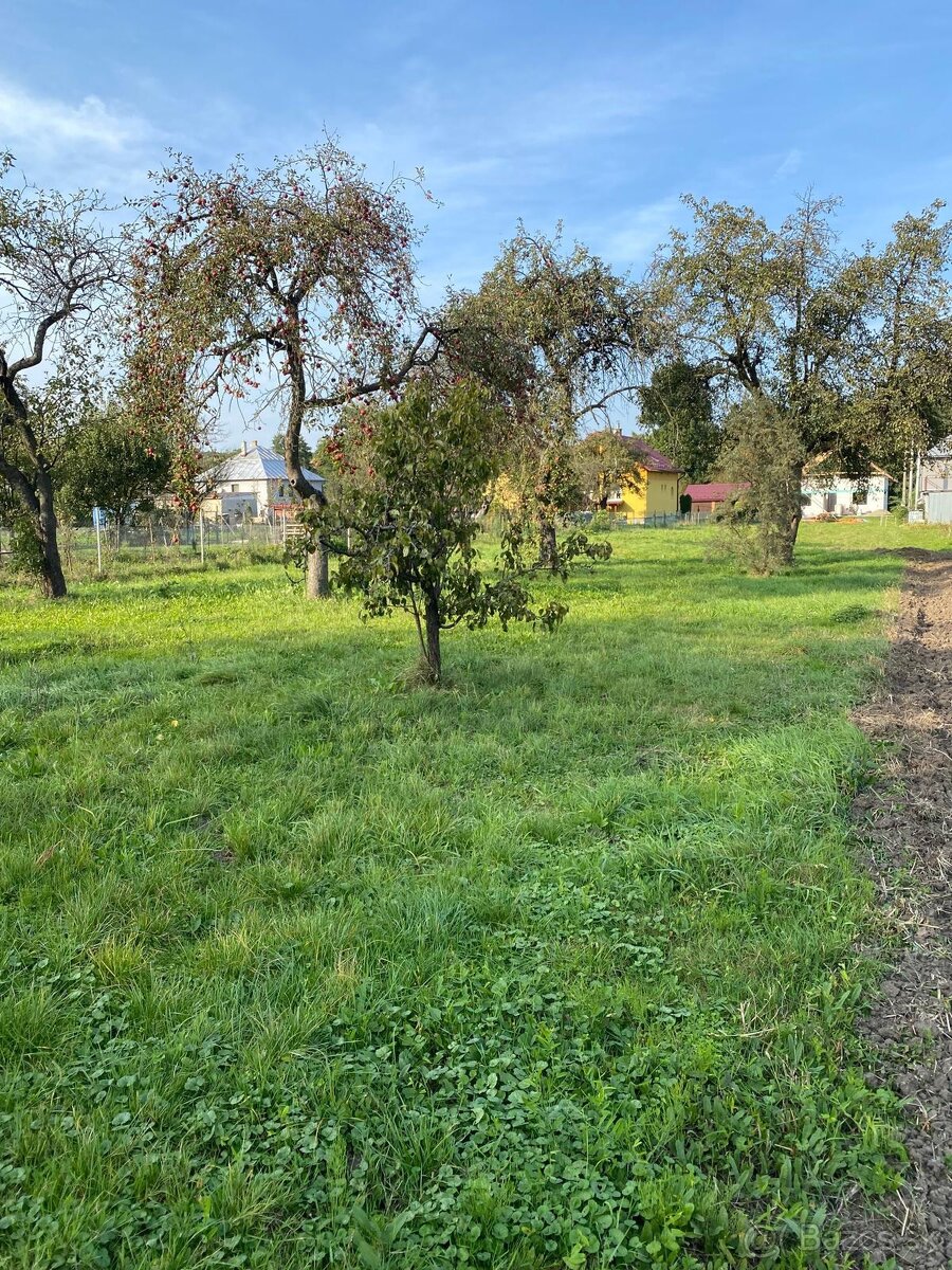 Pozemok vhodný na stavbu rodinného domu s ovocným sadom - 5