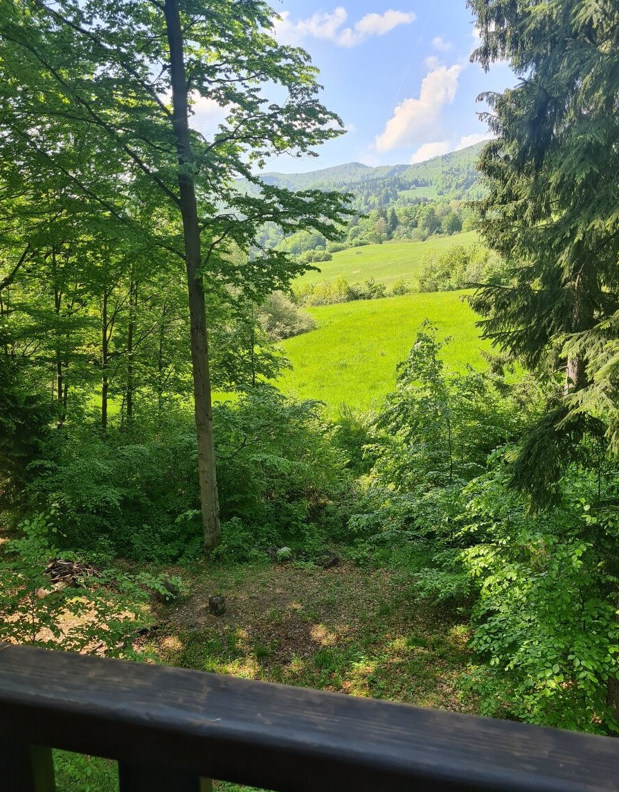 Predaj chaty s pozemkom 2 793 m2, pri B.Bystrici po rekonšt. - 5