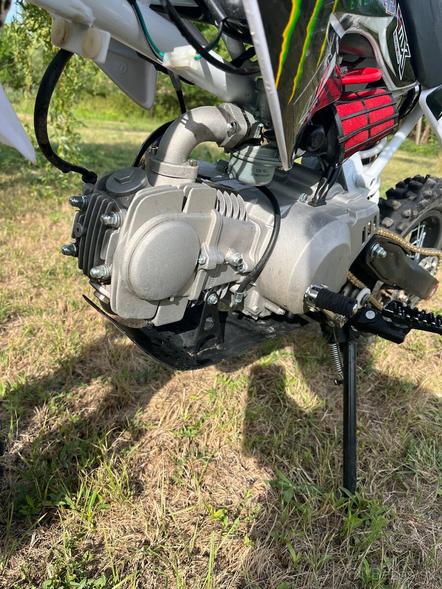 Pitbike Monster Edition 125cc