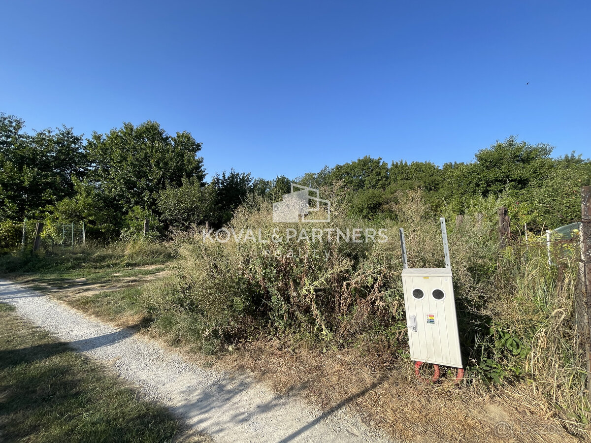 Záhrada v Nitre - v záhradkárskej oblasti - 5