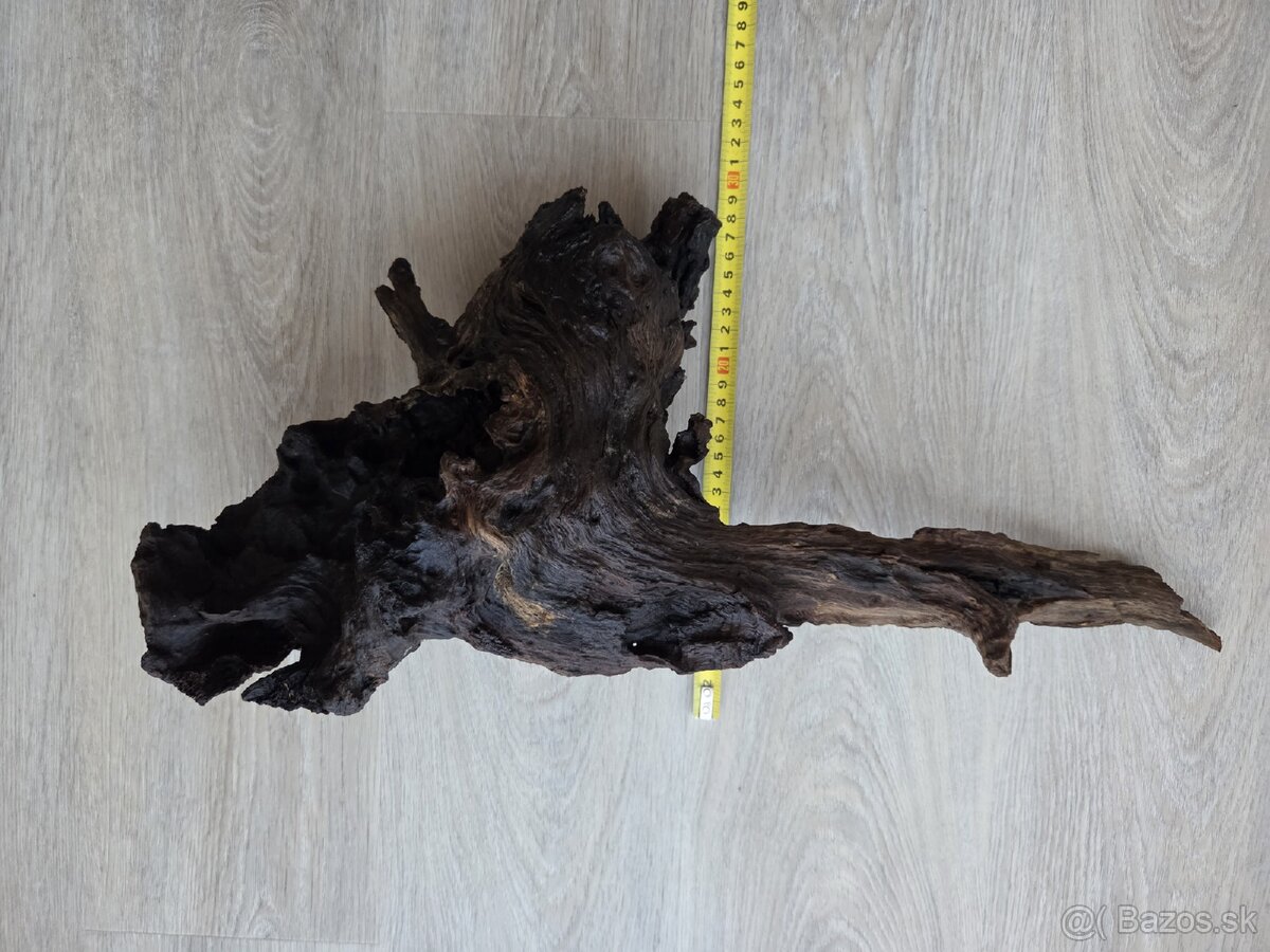 Koreň do akvária / terária - 5