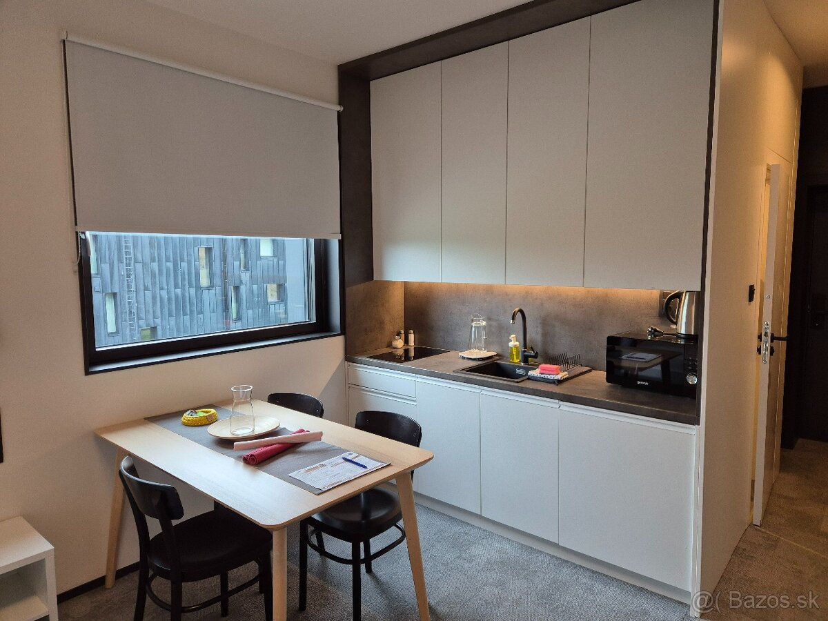 Demänová-Apartmán s pravidelným výnosom - 5