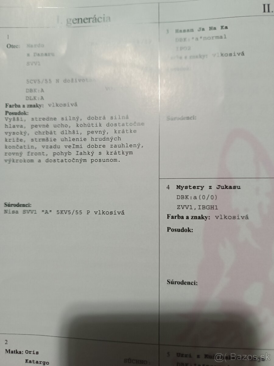 Nemecký ovčiak - 5