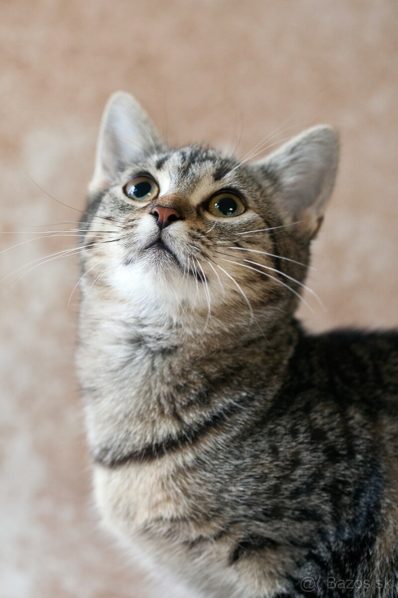 ❤ Dorka - jemná a zlatá dáma - 5