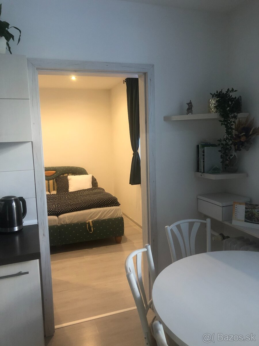 3-izbový byt centrum – zrekonštruovaný, zariadený - 5